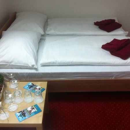 Hotel Krusnohorsky Dvur Cínovec Zewnętrze zdjęcie