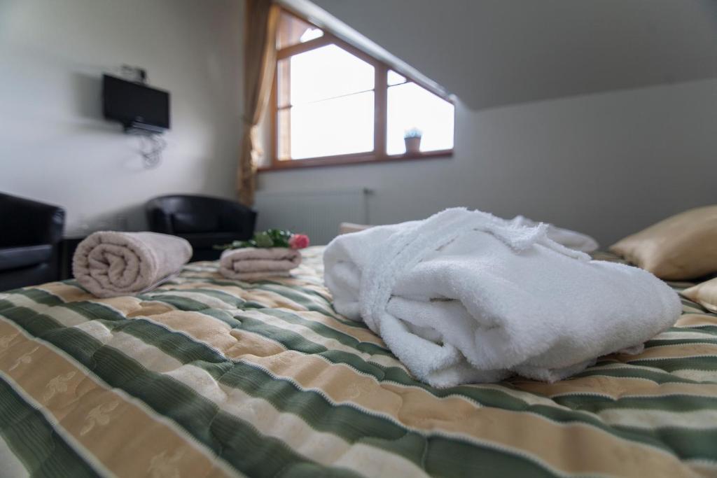 Hotel Krusnohorsky Dvur Cínovec Pokój zdjęcie