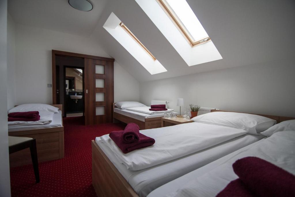 Hotel Krusnohorsky Dvur Cínovec Pokój zdjęcie